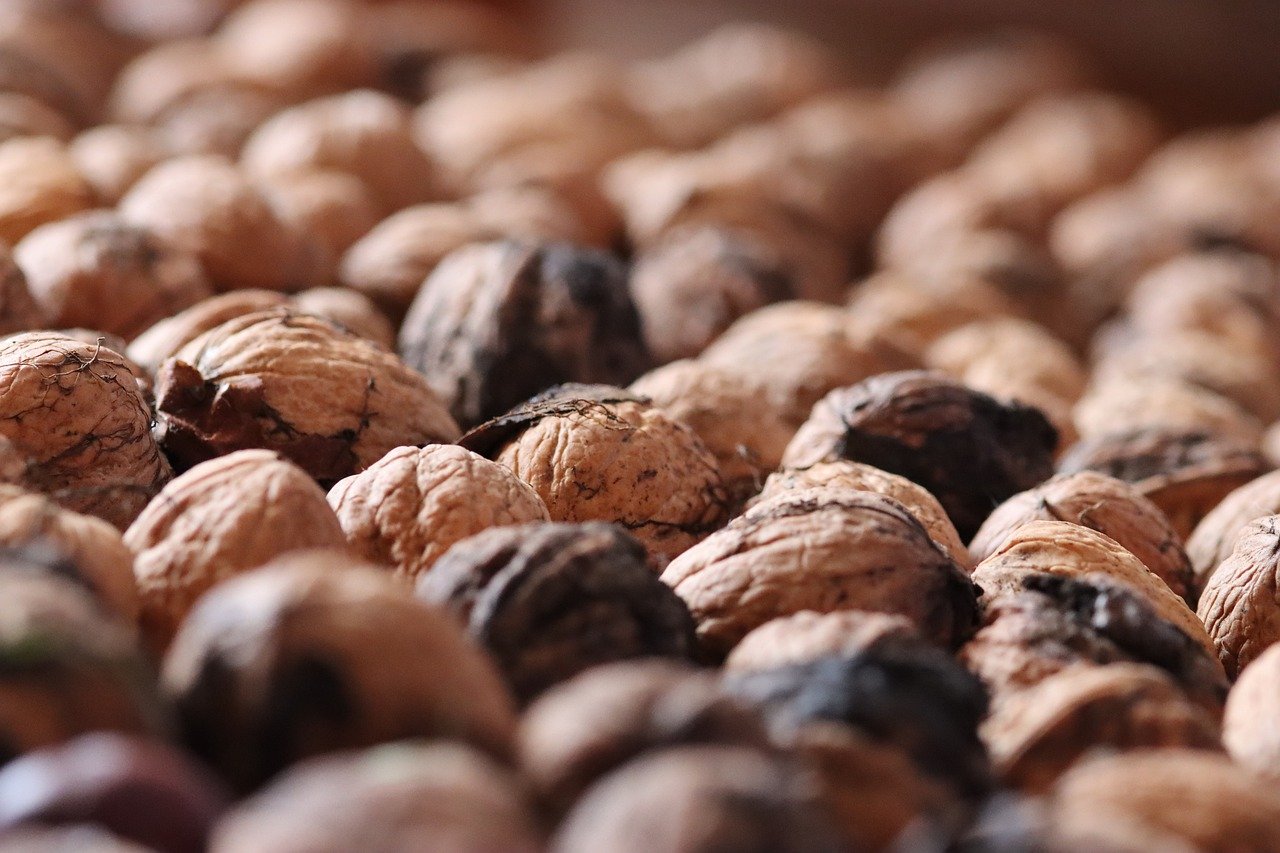 平台流量代理是什么