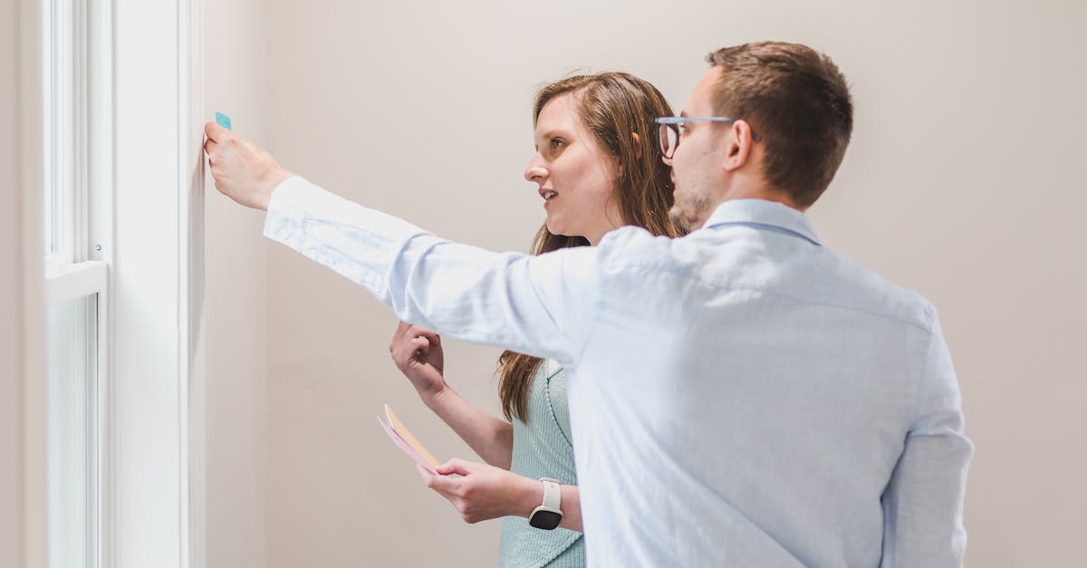 Mad World（疯狂的世界）：经典双喜购买平台