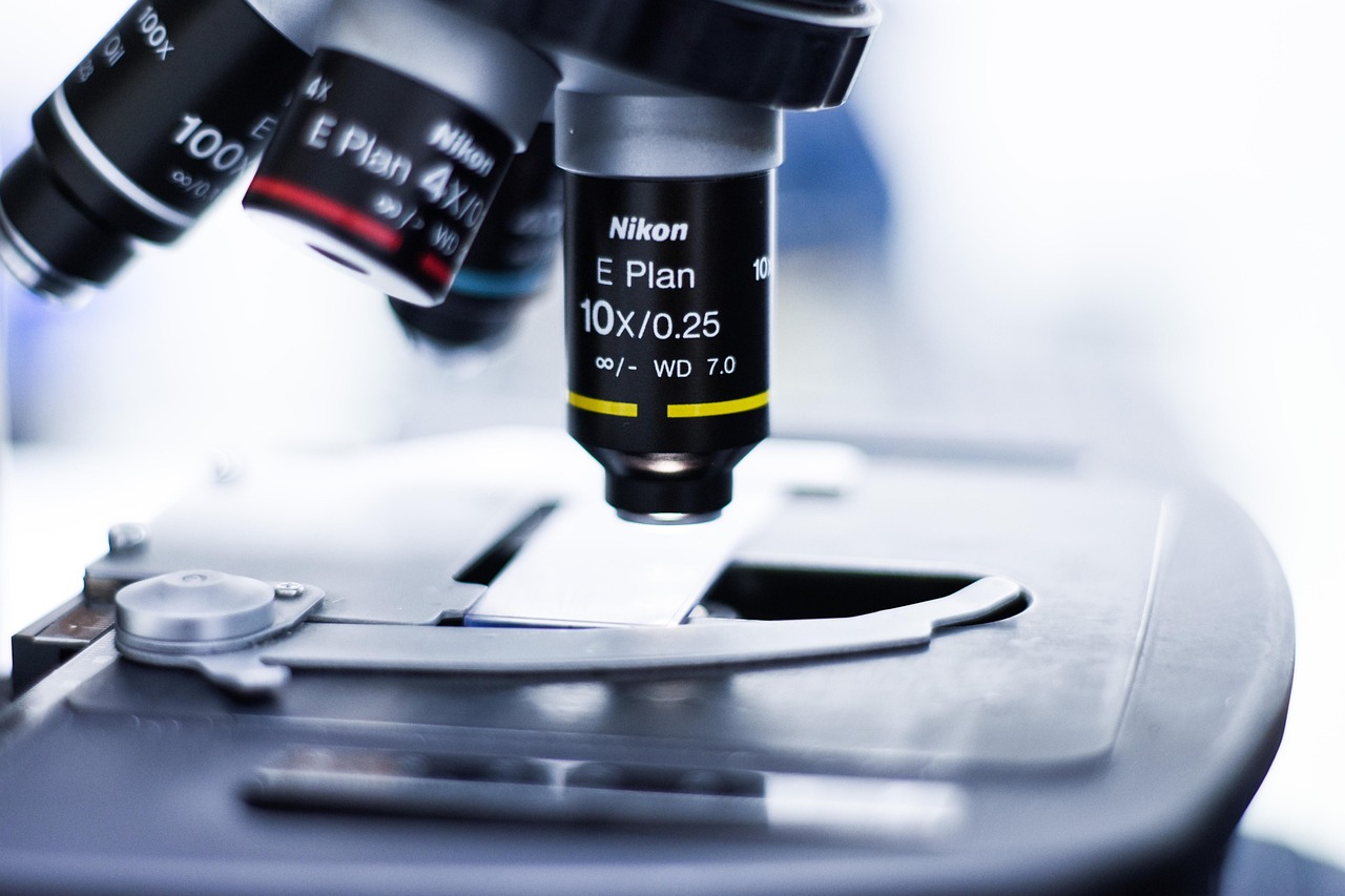 西部数码实名账号：模特app 详情下载教程