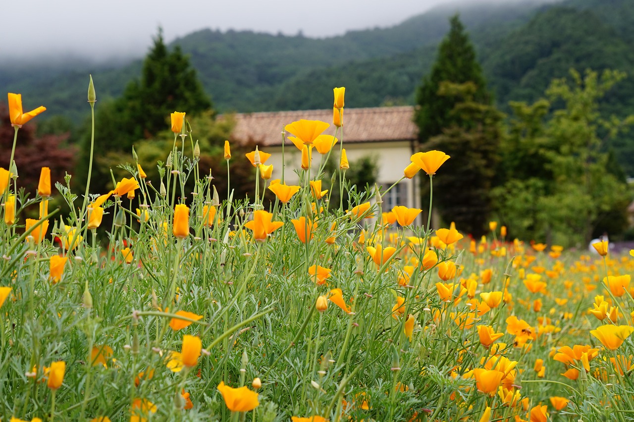 海信通信实名账号：美邮app详情下载教程