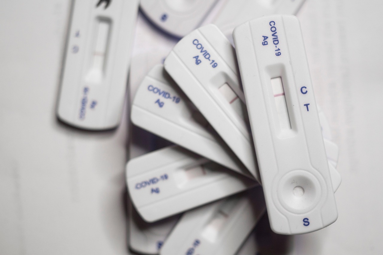 仙凡幻想：甘肃总站APP详情下载教程