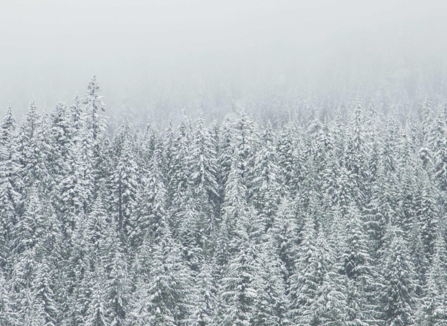 电信APP 协议 详情下载教程