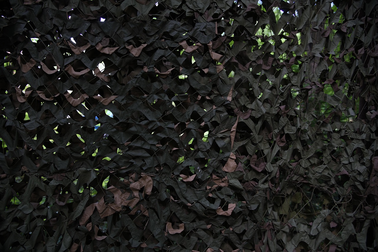 七日世界：黑网购买平台