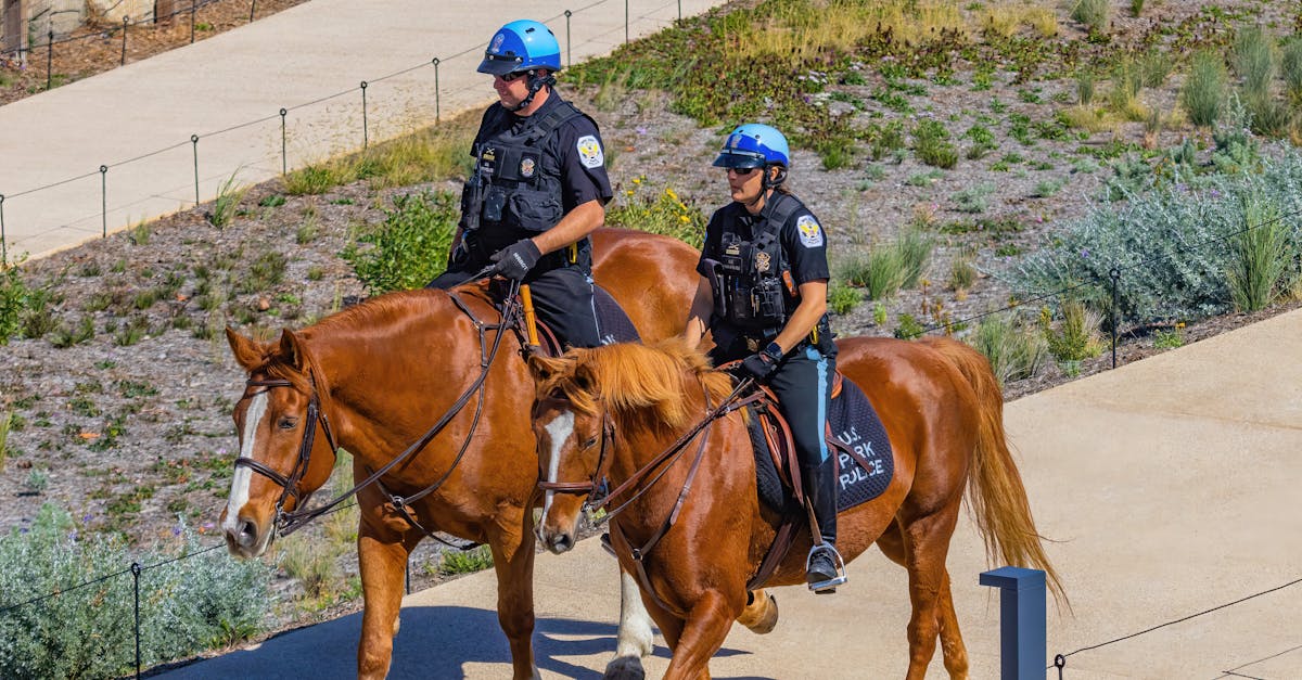 富联眉山内资公司注册代理公司