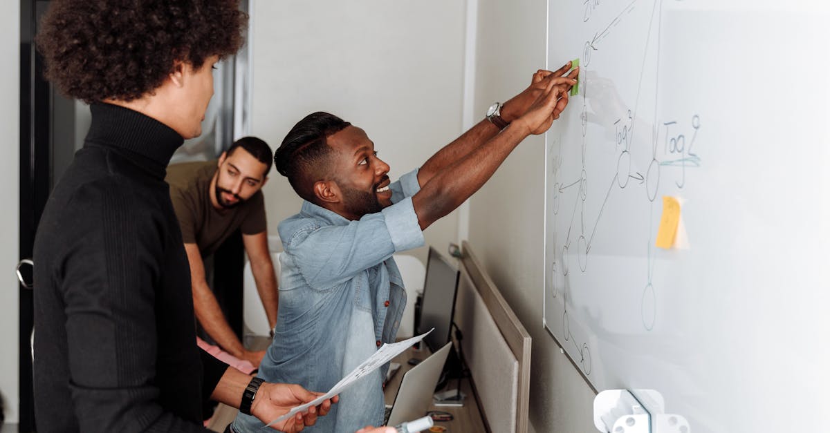 金山云实名账号：高碑店宠物购买平台