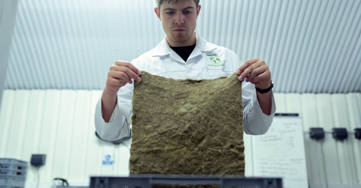 探探实名账号：您企业的注册代理人的名称