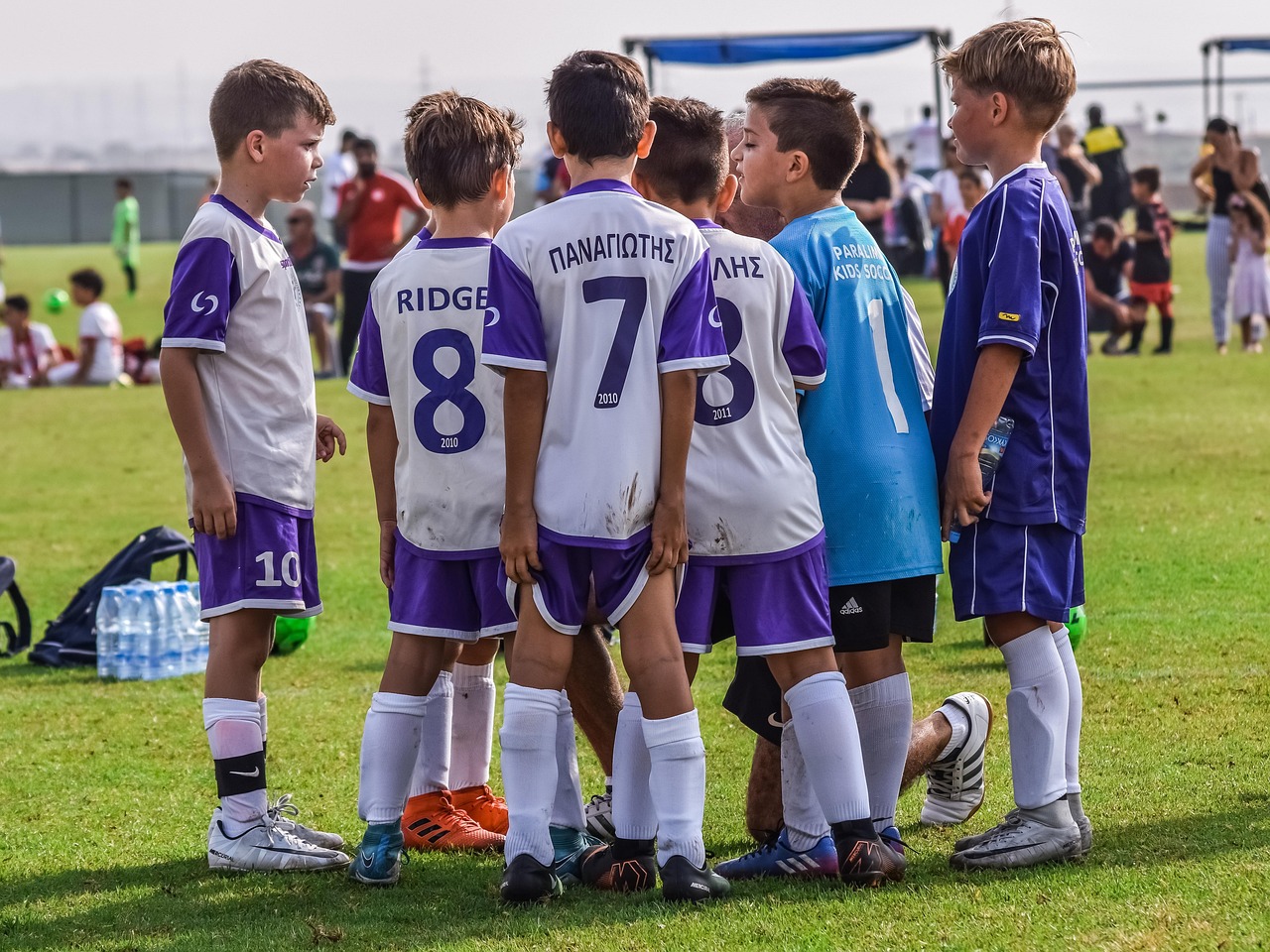 野草云实名账号：海豚app详情下载教程