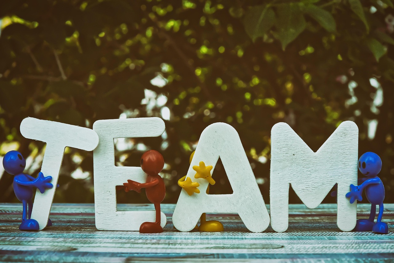 青牛软件实名账号:上犹代理公司注册