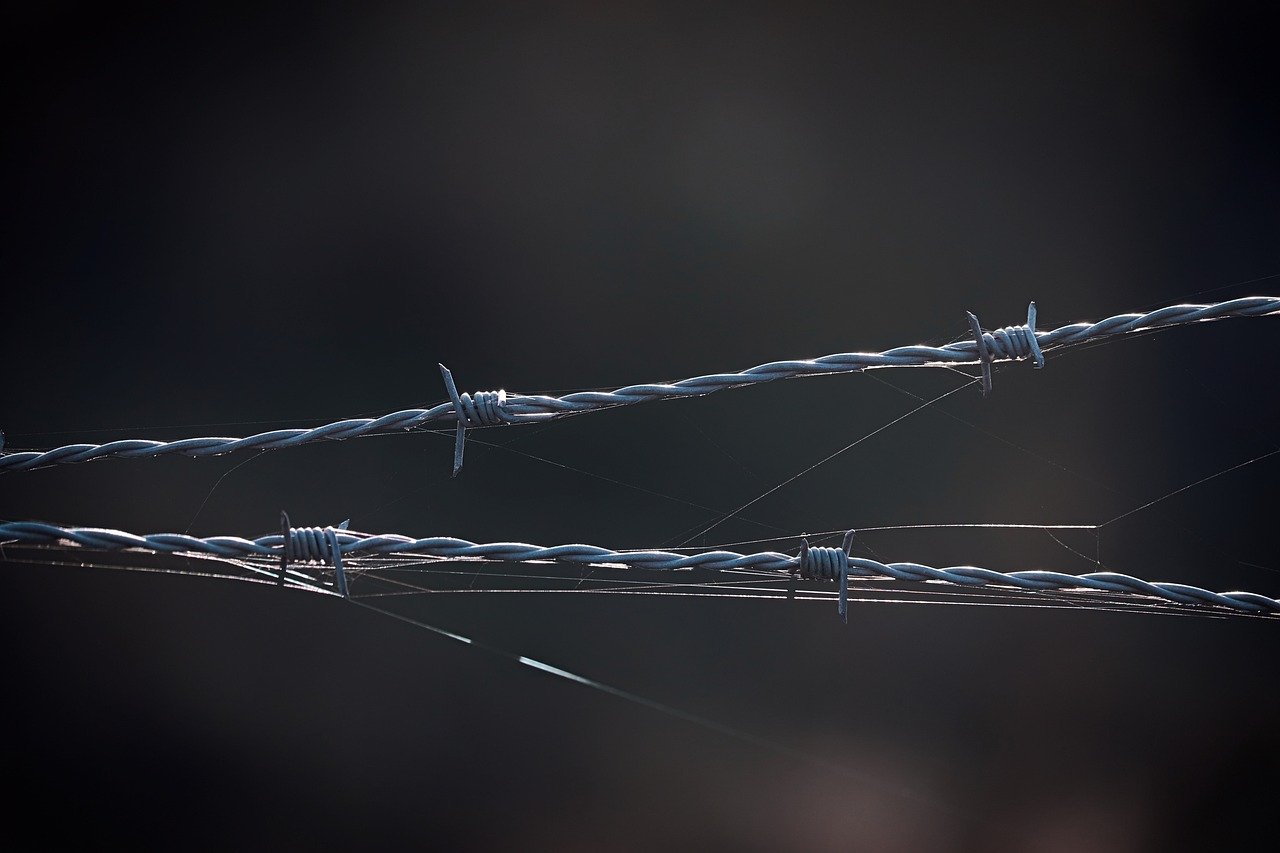 黄船长：一汽金融app详情下载教程